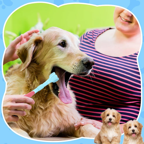 20 7 Inch 3 Vesici Pcs Dog Toothbrush Sided Pet Teeth Cleaning Brush Dental Care Suitable for Dog Most Pets Cat Puppy