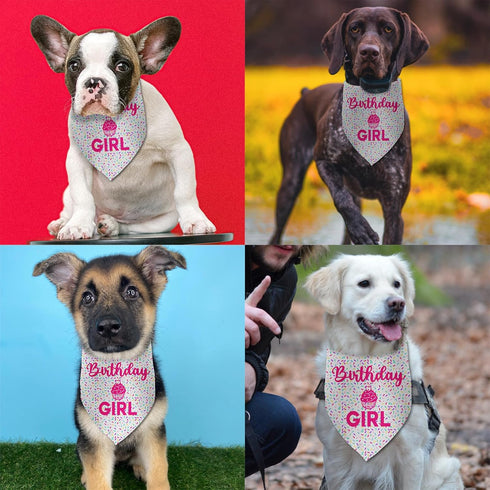Luptiteuy Dog Birthday Bandana Birthday Girl Pet Scarf Bibs Accessories Party Supplies for Dog Lover Small Medium Puppy