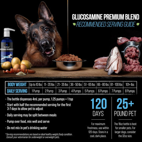 16 oz Best Paw Nutrition Liquid Glucosamine for Cats - Glucosamine Chondroitin MSM & Hyaluronic Acid Joint Supplement