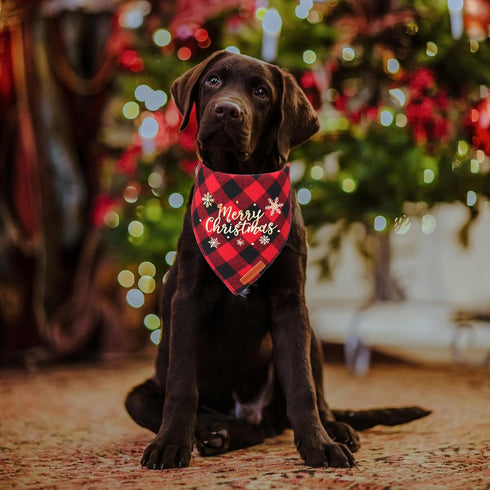 ADOGGYGO 2 Pack Christmas Dog Plaid Bandana Triangle Bib Set, Scarf Accessories for Medium Large Dogs