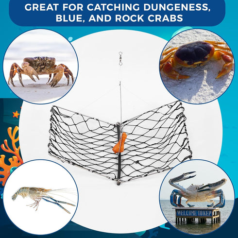 2 Set Windyun Foldable Crab Trap with Bait Clip and Orange Braided Line Crab Trap Crabjaw Crab Snare Crab Nets
