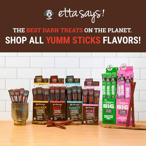 Yumm 12 Count etta says! Sticks Natural Dog Treats - Beef Dog Jerky Treats - Human-Grade Jerky for Dogs - Made in The