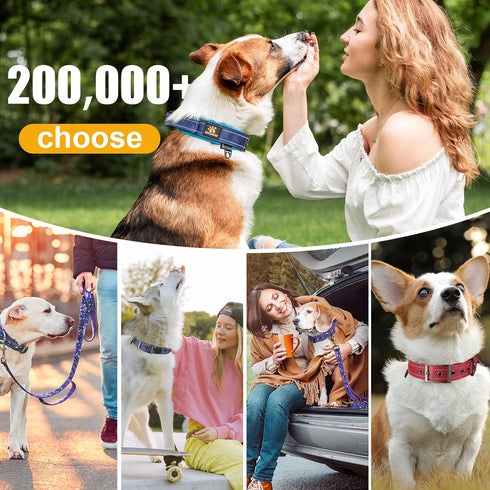 DAGANXI Adjustable Dog Collar, Soft Neoprene Padded Reflective Strip Nylon Collar for Small Medium Large Dogs