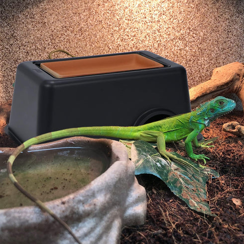 Wontee Reptile Hideout Box with Sink Basin Humidifier Caves for Lizards, Turtles, and Small Snakes