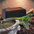 Wontee Reptile Hideout Box with Sink Basin Humidifier Caves for Lizards, Turtles, and Small Snakes