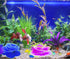 Glow Aquarium Decor by Glowing Fish Tank Decorations, 2pcs Silicone Flower Plants & 10pcs Colourful Sea Shells