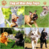 Large Squeaky Dog Toys for Aggressive Chewers, Interactive Tug of War Toys for Small, Medium, and Big Dogs