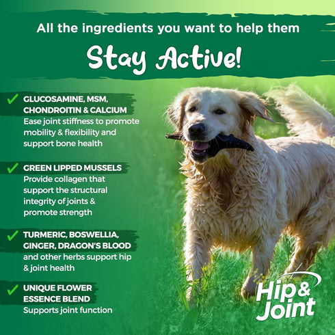 Vital Planet Hip and Joint Support Powder Supplement for Dogs, Beef Flavored, 60 Scoops, 111 Grams