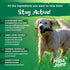 Vital Planet Hip and Joint Support Powder Supplement for Dogs, Beef Flavored, 60 Scoops, 111 Grams