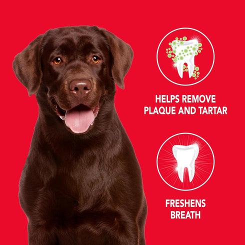 2.5oz Petrodex Toothpaste for Dogs and Puppies, Cleans Teeth and Fights Bad Breath, Reduces Plaque and Tartar