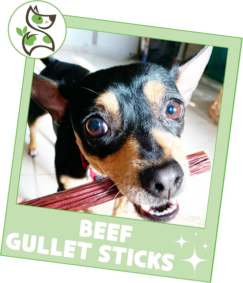Nature Gnaws Beef Gullet Sticks for Dogs, 5-6" (15 Count), Natural Beef Jerky Stick Dog Chew Treats, Rawhide Free