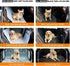 Hammock, PETTALK Deluxe Double Side Dog Car Seat Cover Back Seat, Waterproof Seat Cover Reversible,Heavy Duty,Anti