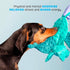 Barkbox Best of BarkBox Bundle - Squeaky Plush Chew Toys for Medium and Large Dogs, Gordon, Dingbert, Ollie