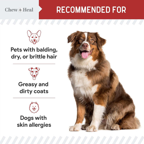 '-360 3, 6, (2 Packs 180, Best Itchy Skin Relief for Dogs Soft Chew Omega Treats for Skin and Coat -Salmon Oil Blend