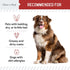 '-360 3, 6, (2 Packs 180, Best Itchy Skin Relief for Dogs Soft Chew Omega Treats for Skin and Coat -Salmon Oil Blend