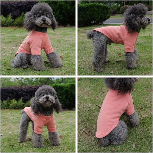 Lovelonglong Dog Sweatshirt and Pullover for Small to Large Dogs - Cold Weather Protection in Lobster-Pink XL