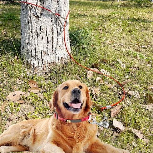 Chew Proof Dog Leash, 5Ft Tie Out Cable with Detachable Short Handle, Non Chew Braided Cord Steel Training Leash for