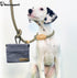 Raisingwell Dog Treat Pouch, Small Cotton Pocket Sized Training Holder, Hand Free Walking Fanny Bag with Carabiner