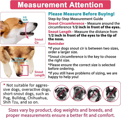 LUCKYPAW Dog Muzzle, Anti Biting Barking Chewing, Comfortable Mesh Soft Fabric, Adjustable Strap for Small Medium Large
