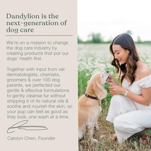 Dandylion Clean Paws No-Rinse Foaming Cleanser | Gentle, Fragrance-Free, pH Balanced | 5fl oz. with Brush