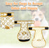 (3 Pack) Langsprit Washable Female Dog Diapers -Doggie Reusable Diapers for Doggy Puppy Female in Period - Highly
