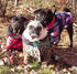 ComfortFlex Sport Harness - American Made No Pull Dog Harness for Large Dogs, Lightweight, Padded