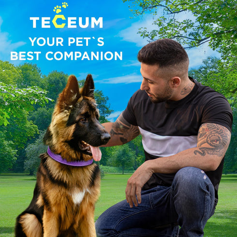 TECEUM Reflective Purple Pet Collar, L, Extra Soft Padding, Basic Nylon Dog Collar with Quick Release Buckle