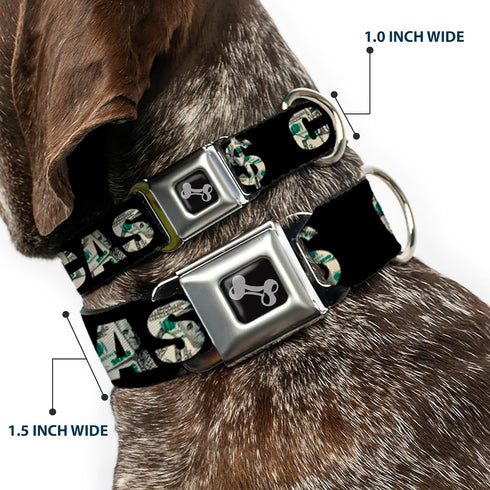 Buckle-Down Dog Collar with Cash Money Black Dollar Bills - Fits 9 to 15 Inches, 1.0 Inch Wide