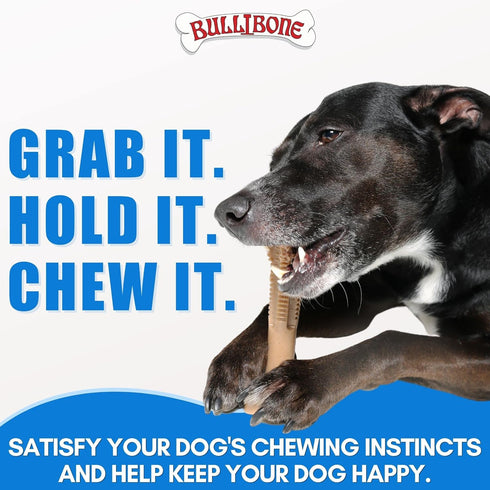 Bullibone SuperBrush: Dog Teeth Cleaning Brushing Toothbrush Stick, Long Lasting Nylon Chew Toy