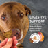 Shameless Pets Crunchy Dog Treats, Party Mix Variety Flavors, 10oz