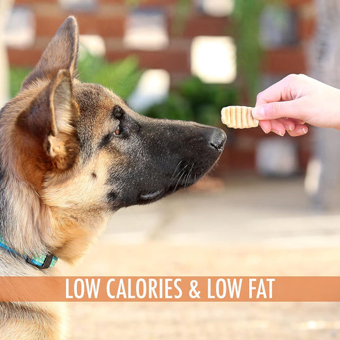 Sweet Potato Treats for Dogs, 12 oz, Low Calorie, Low Fat Alternative to Traditional Dog Biscuits