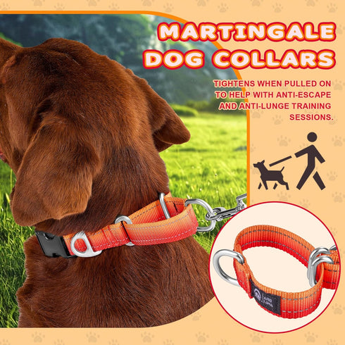 Light-Reflective Martingale Dog Collar for Whippets, Greyhounds, Saluki, American Bully - Adjustable Heavy Duty No-Pull