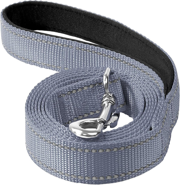 6ft Dog Leash for Small Medium Large Dogs | Reflective Nylon | Padded Handle | 3/4 inch Wide | Grey