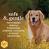 10 Oz Burts Bees for Pets Oatmeal Dog Conditioner with Honey, Moisturizing Dog Coat Conditioner for Dry and Sensitive