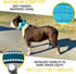 ADITYNA Heavy Duty Dog Collar with Handle, Reflective Blue Collar for Large Dogs - Neoprene Padded for Training