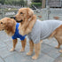 lovelonglong Basic Dog Polo Shirts Premium Cotton, Polo T-Shirts for Large Medium Small Dogs with Two-Button Collar,