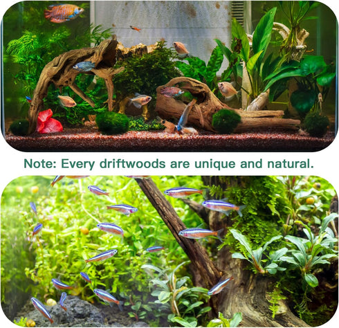Driftwood for Aquarium - 2 Pieces Large Natural Drift Wood, 14-18 Inches Assorted Branch Decorations for Reptile Hide