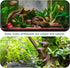 Driftwood for Aquarium - 2 Pieces Large Natural Drift Wood, 14-18 Inches Assorted Branch Decorations for Reptile Hide