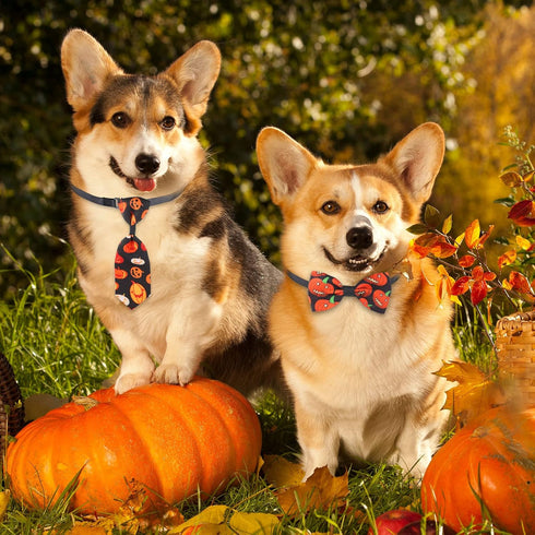 100 Pieces Dog Bows Set, Fall Dog Bows, Thanksgiving Bow Ties, Halloween Dog Bows for Small Medium Dogs