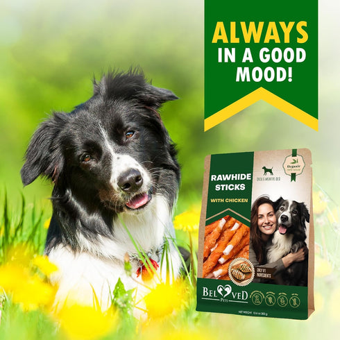 Dog Rawhide Sticks Wrapped with Chicken - Grain Free Chew Treats, Human Grade Dried Snacks in Bulk for Training