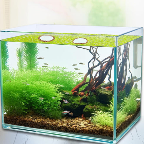 2pcs Aquarium Feeding Rings, Wooden Fish Feeding Rings for Floating Plants in Fish Tanks and Aquariums