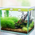 2pcs Aquarium Feeding Rings, Wooden Fish Feeding Rings for Floating Plants in Fish Tanks and Aquariums