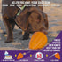 Chew King Premium Treat Dog Toy, Extremely Durable Natural Rubber, Bacon Flavored, Orange, X-Large