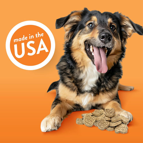 Spunky Pup Cheddar Bites, Crunchy Biscuit Treats, 10 oz
