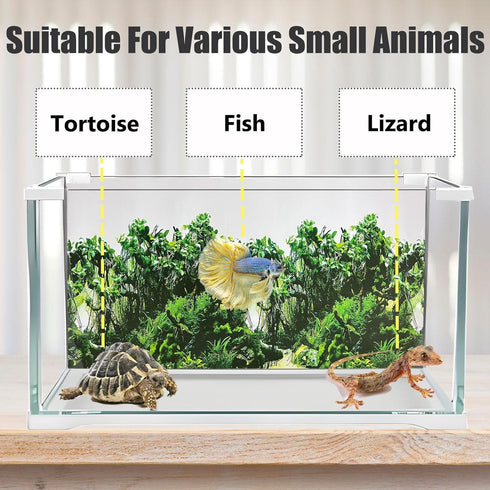 Fish Tank Background - Sea Anemone Coral Theme Double-Sided Poster for Aquarium Wallpaper