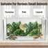 Fish Tank Background - Sea Anemone Coral Theme Double-Sided Poster for Aquarium Wallpaper