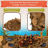 SunGrow Leaf Litter for Snakes, 10 Pcs Medium Indian Almond Catappa Leaves for Humidity in Reptile Tank Decor