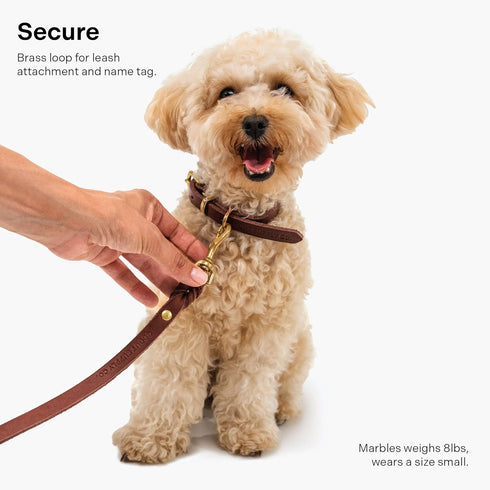 Classic Leather Dog Collar by Scout Supply, Heavy Duty Thick Full Grain Leather, Waterproof & Rust-Proof Brass Hardware