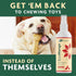 EcoMange Mange Relief for Dogs & Cats - 8 Oz. Itch Relief Spray with Herbal Extract & Essential Oil