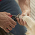 Franklin Sports Professional Grade Dog & Cat Nail Clippers with Safety Guard, Stainless Steel Grooming Tool